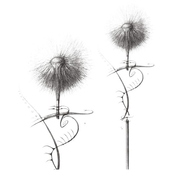 / Geisha Balls 2 - variálható gésagolyó szett (pink-fehér)