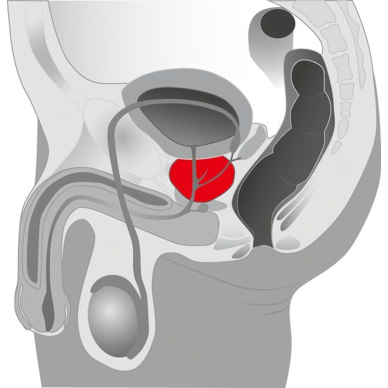 You2Toys - Prostate massager - forgó prosztata vibrátor (fekete)