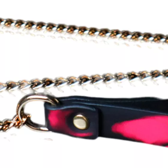 Heatmark - nyakörv pórázzal