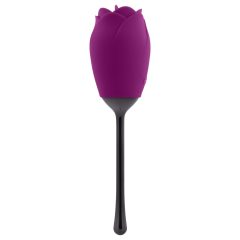 Playboy - vízálló, akkus, nyelves rózsa vibrátor (lila)