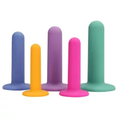 Loveline - dildó trainer szett - 5db (színes)